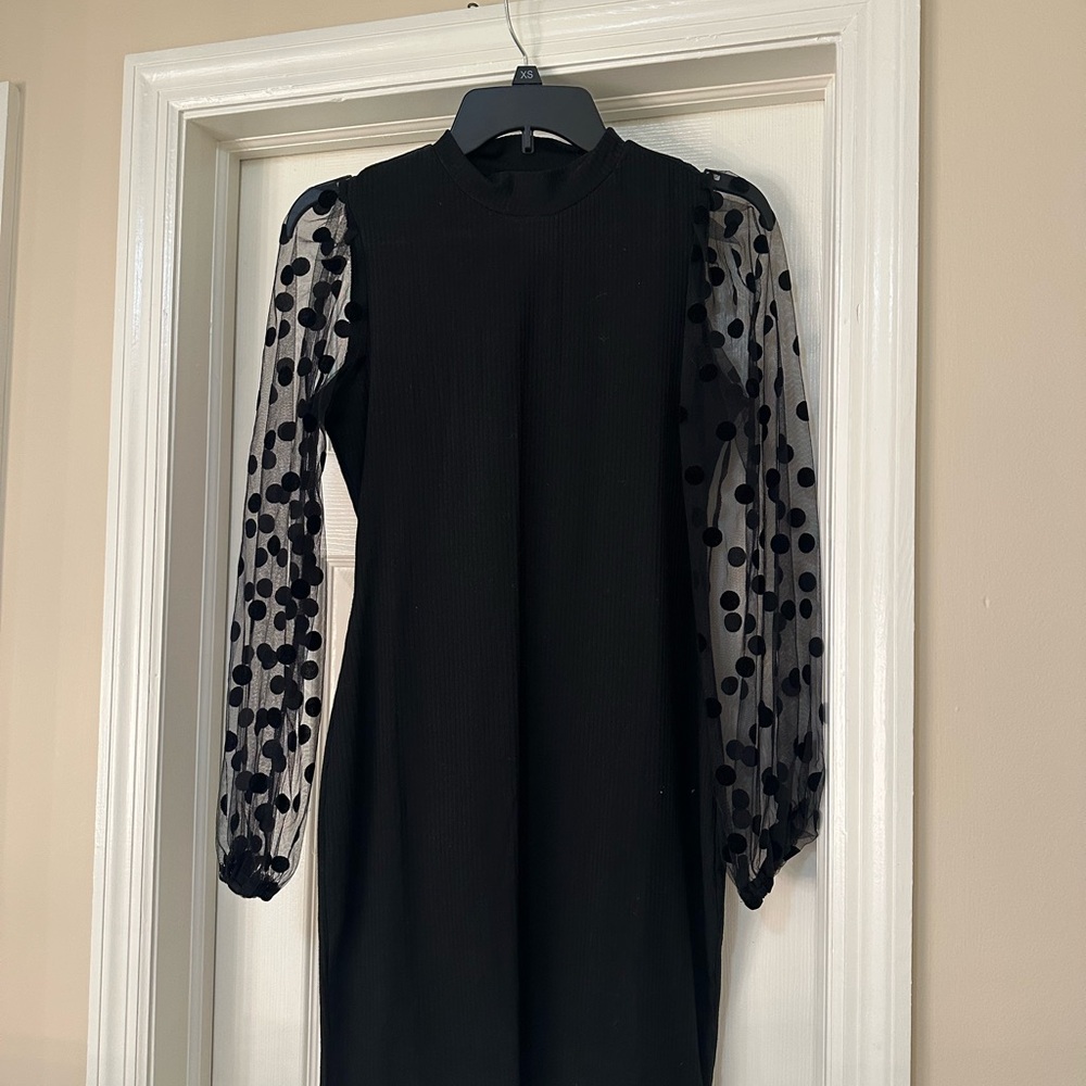 Black Dress with Sheer Mesh Polka Dot Sleeves and Mock Neck